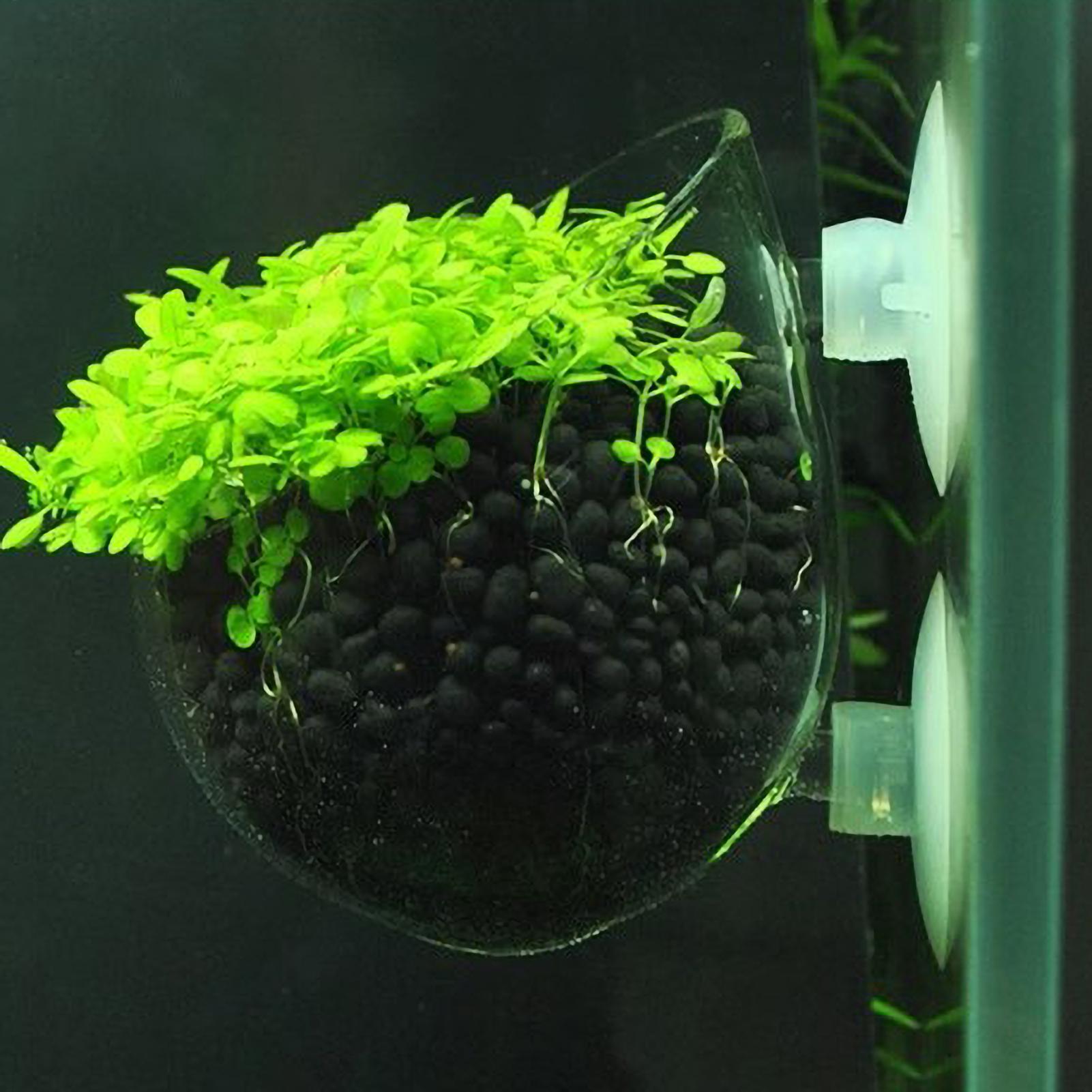 Aquarium Plant Gel - Aquarium Plant Holder Glass Aquatic Plant