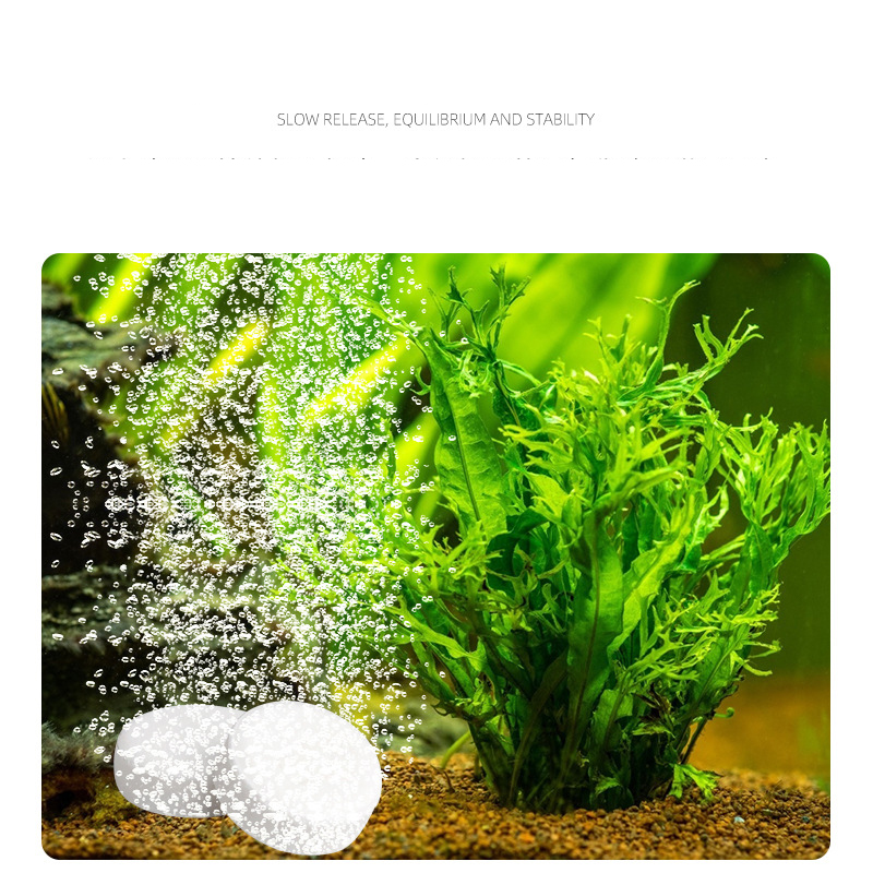 ISTA  Fish Tank Aquarium CO2 T - Planted Aquarium Without Co2 评论和价格