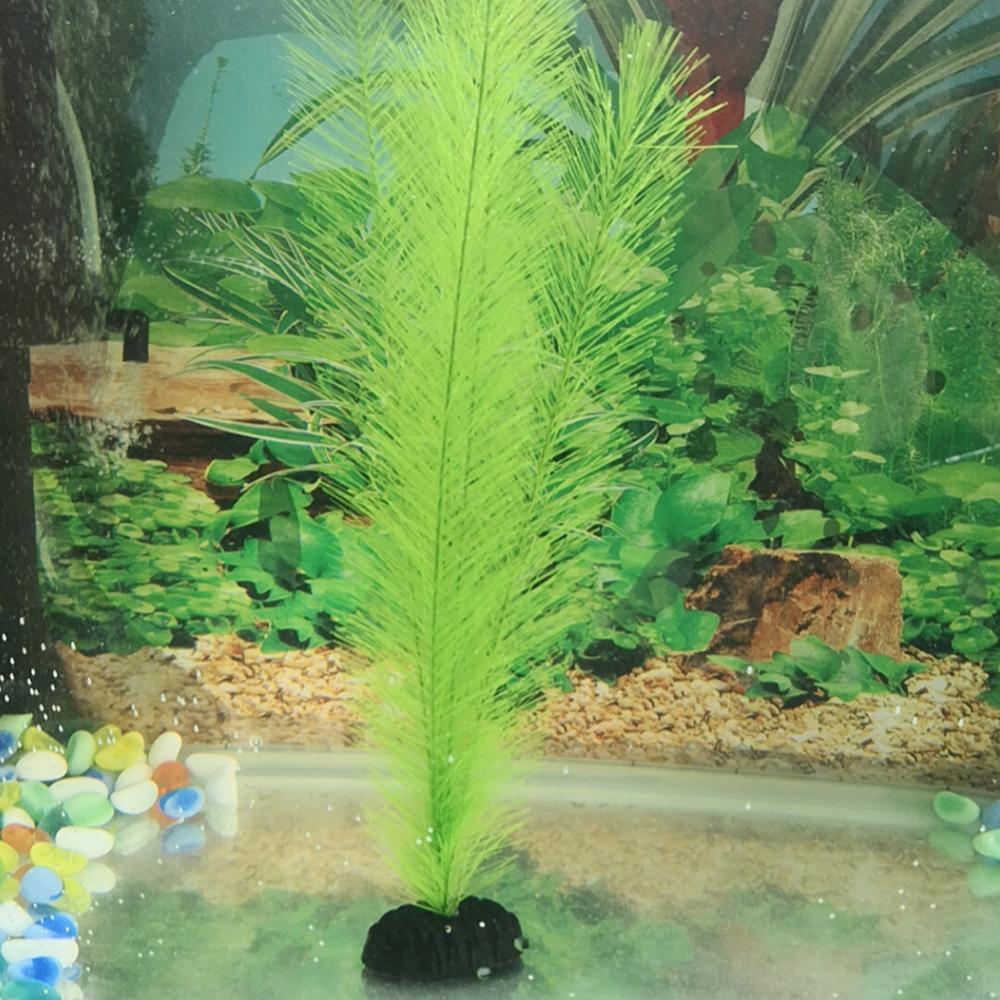 1/3Pcs 28/40cm Aquarium Fish T - Aquarium Plant Live 评论和价格