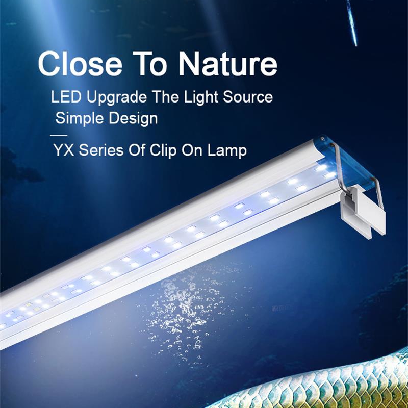 Extensible Waterproof Clip on  - Aquarium Plant Iron 评论和价格