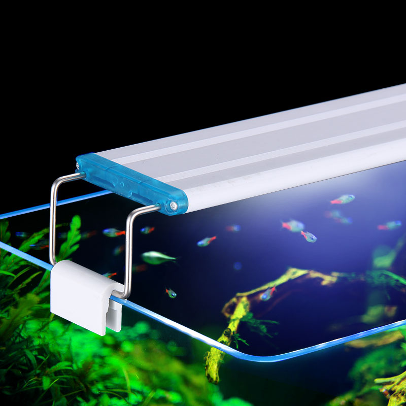 Extensible Waterproof Clip on  - Aquarium Plant Iron 评论和价格