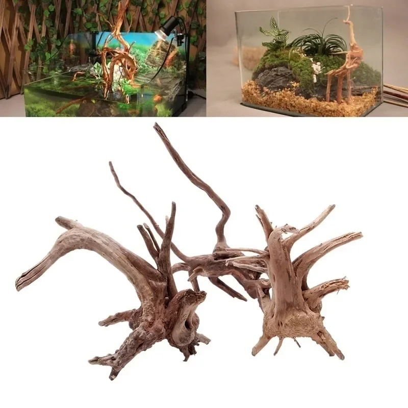 Natural Tree Trunk Driftwood A - Aquarium Plant Live 评论和价格