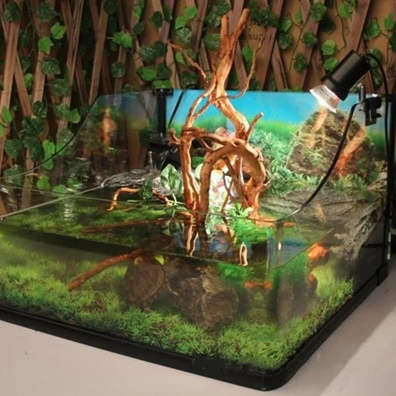 Natural Tree Trunk Driftwood A - Aquarium Plant Live 评论和价格