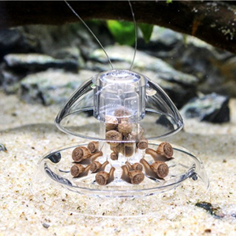 1PCS Fish Tank Aquarium Cleane - Planted Aquarium Tools 评论和价格