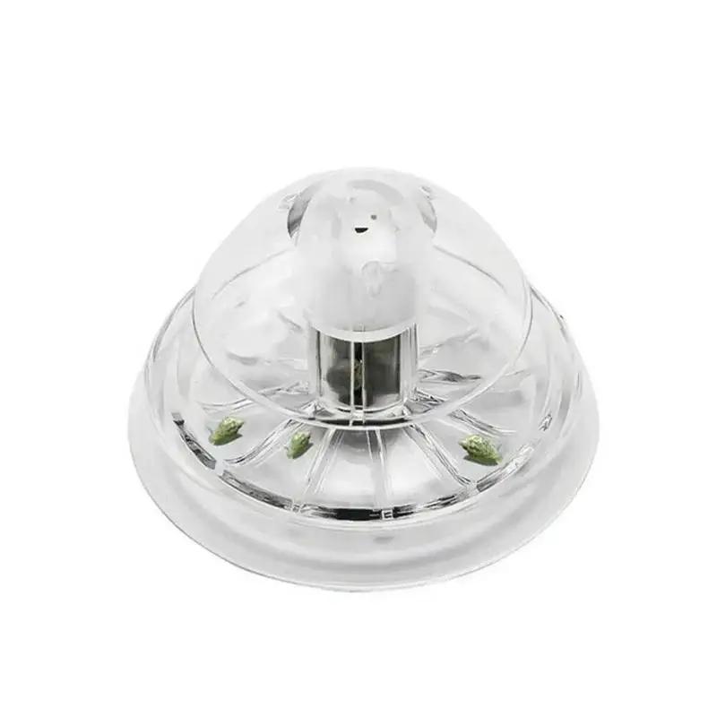 2026 New 6/8CM Clear Plastic S - Planted Aquarium Tools 评论和价格