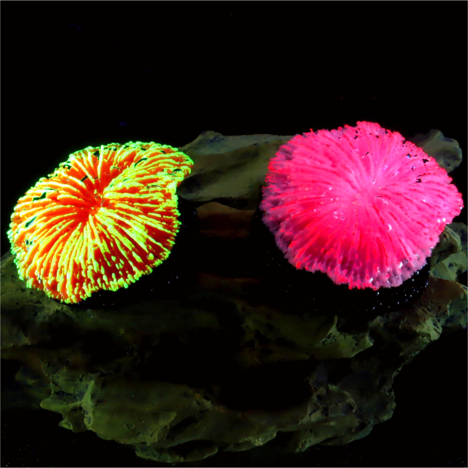 1 piece aquarium decoration sa - Aquarium Plant Live 评论和价格