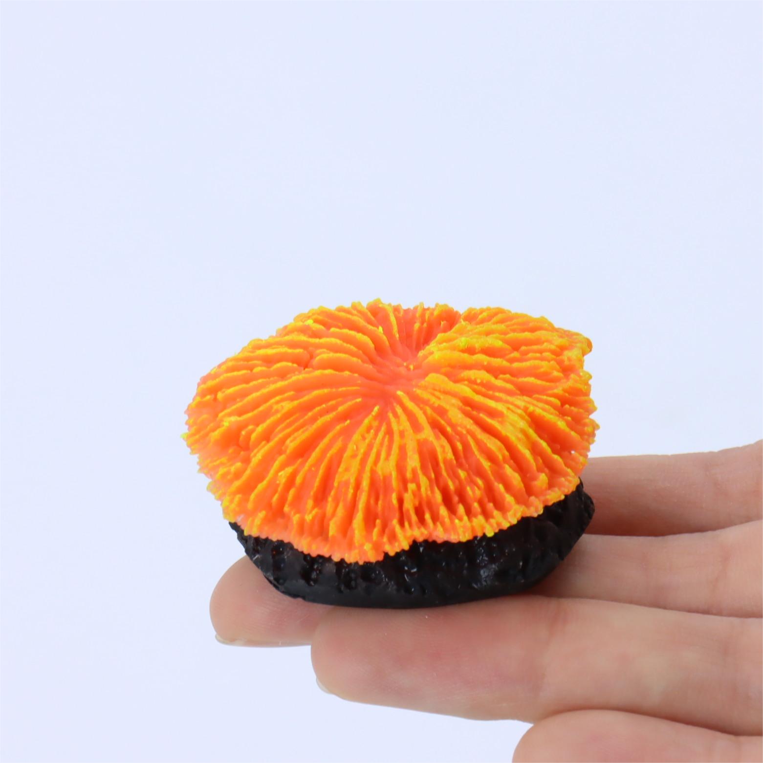 1 piece aquarium decoration sa - Aquarium Plant Live 评论和价格