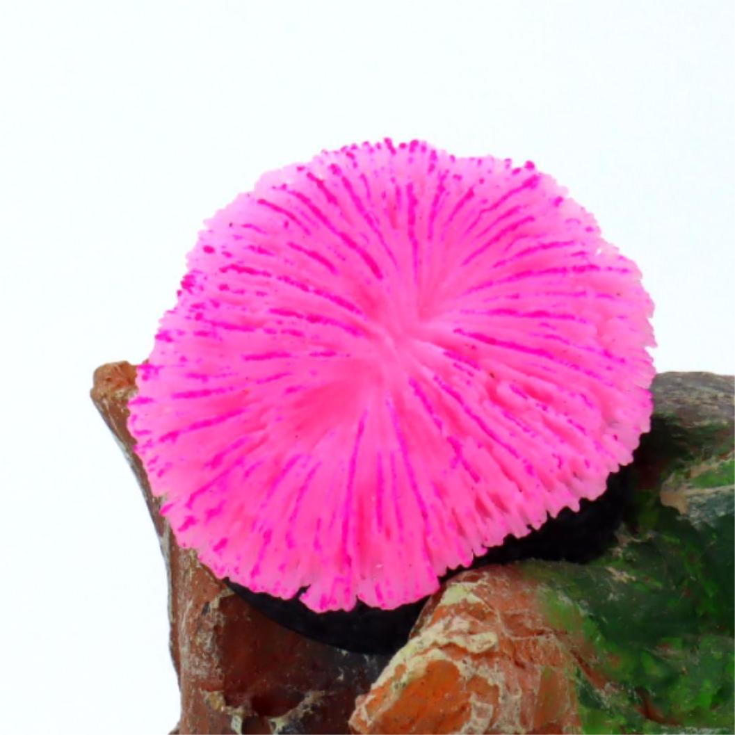 1 piece aquarium decoration sa - Aquarium Plant Live 评论和价格