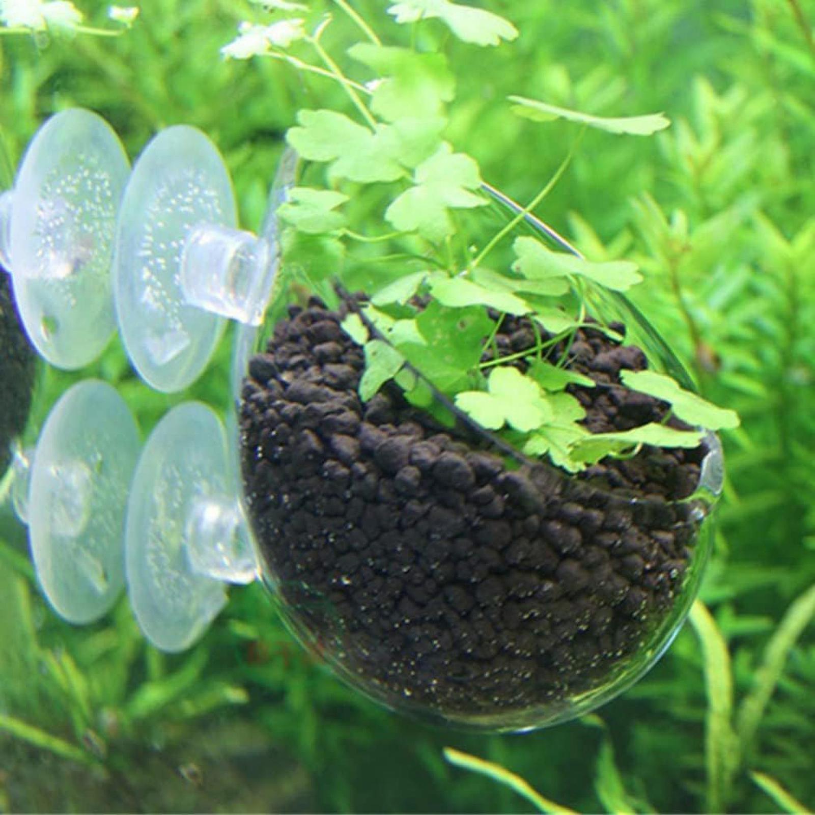 Aquarium Plant Holder Glass Aq - Aquarium Plant Gel 评论和价格