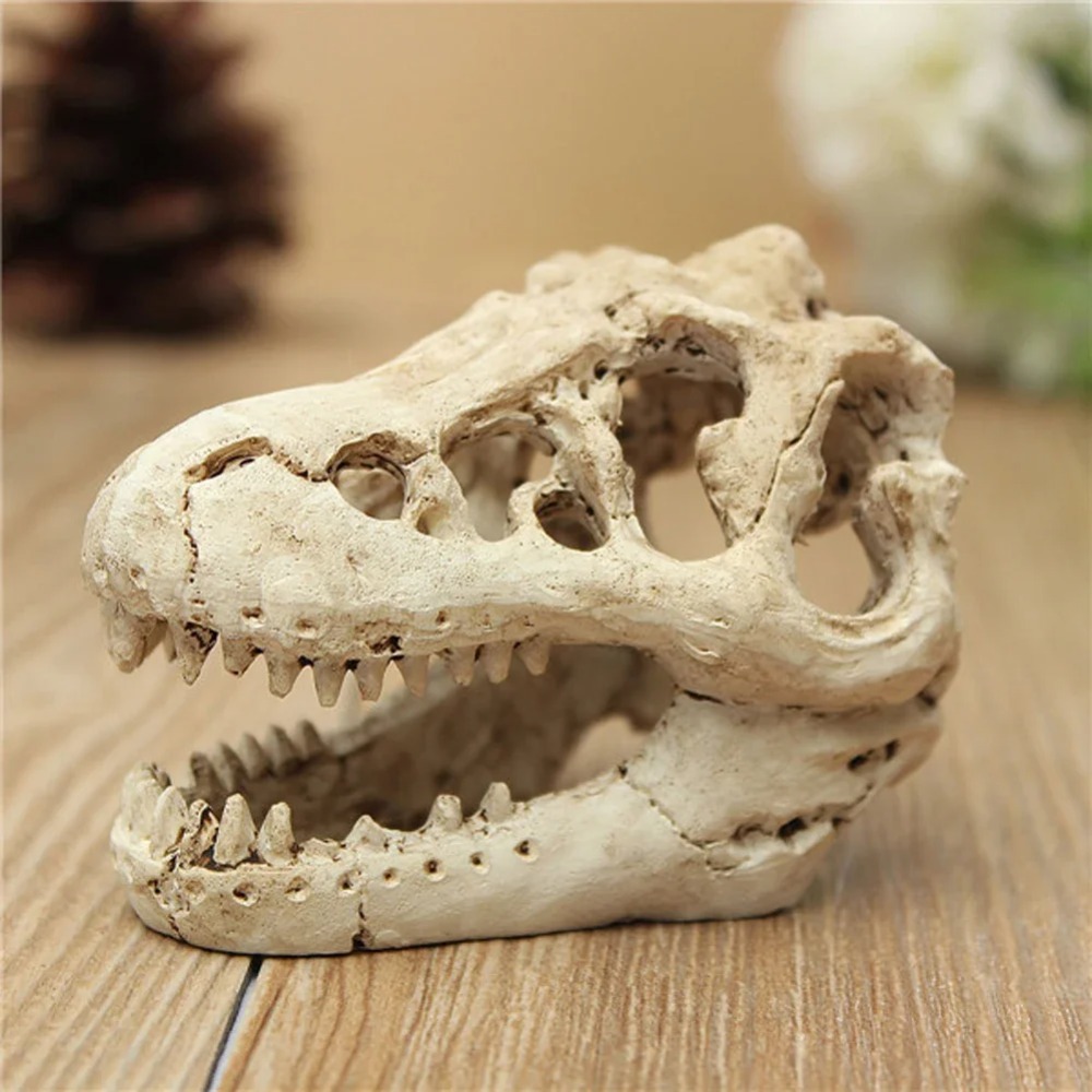 Dinosaur Fossil Model Fish Tan - Aquarium Zombie 评论和价格