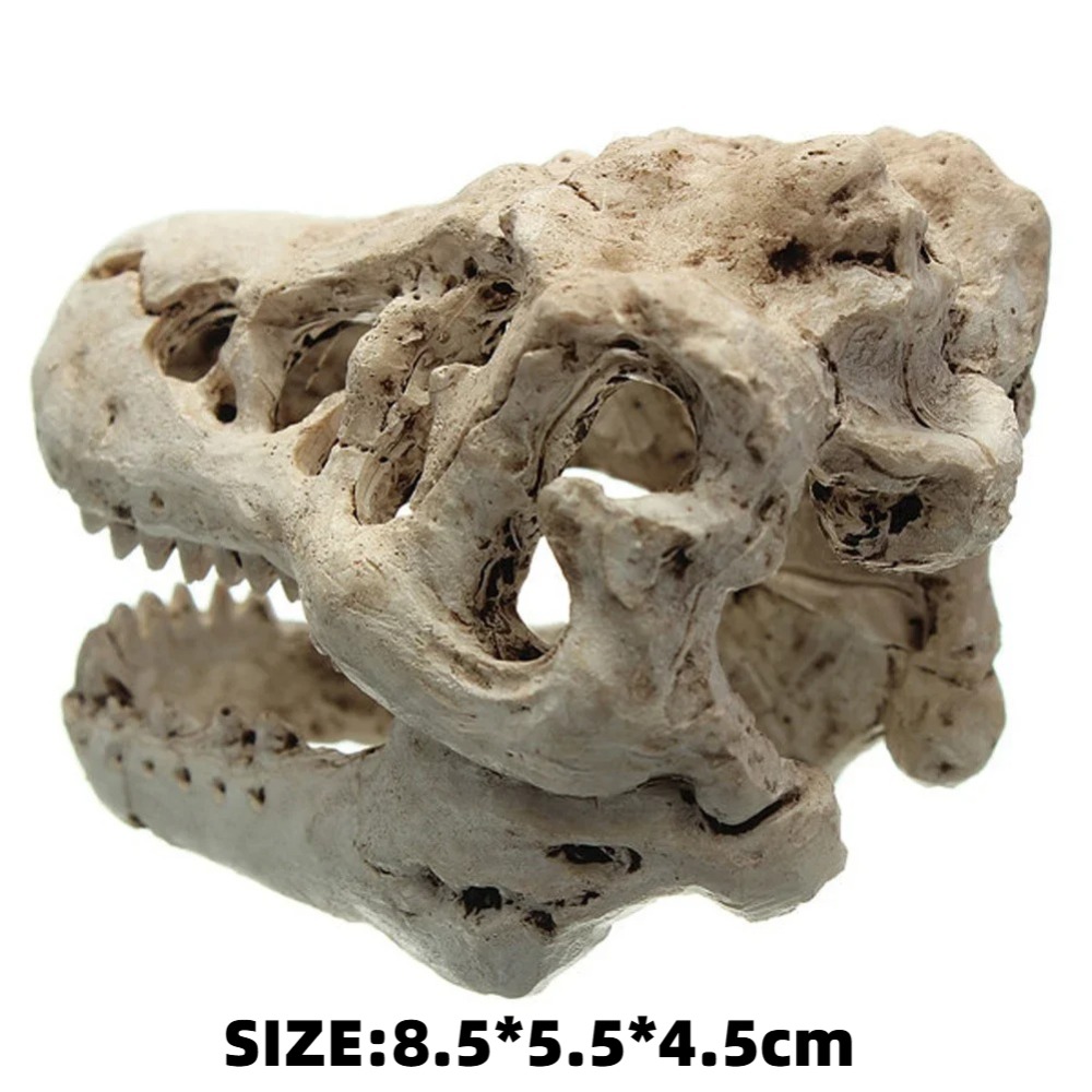 Dinosaur Fossil Model Fish Tan - Aquarium Zombie 评论和价格