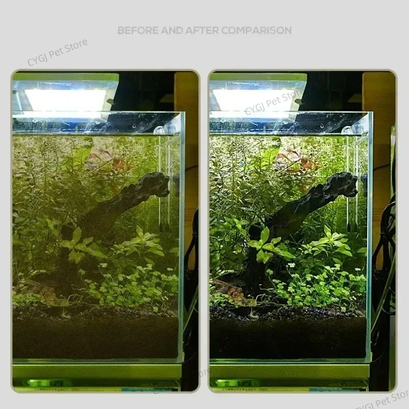 Fish Tank Cleaning Tool Flat S - Planted Aquarium Tools 评论和价格