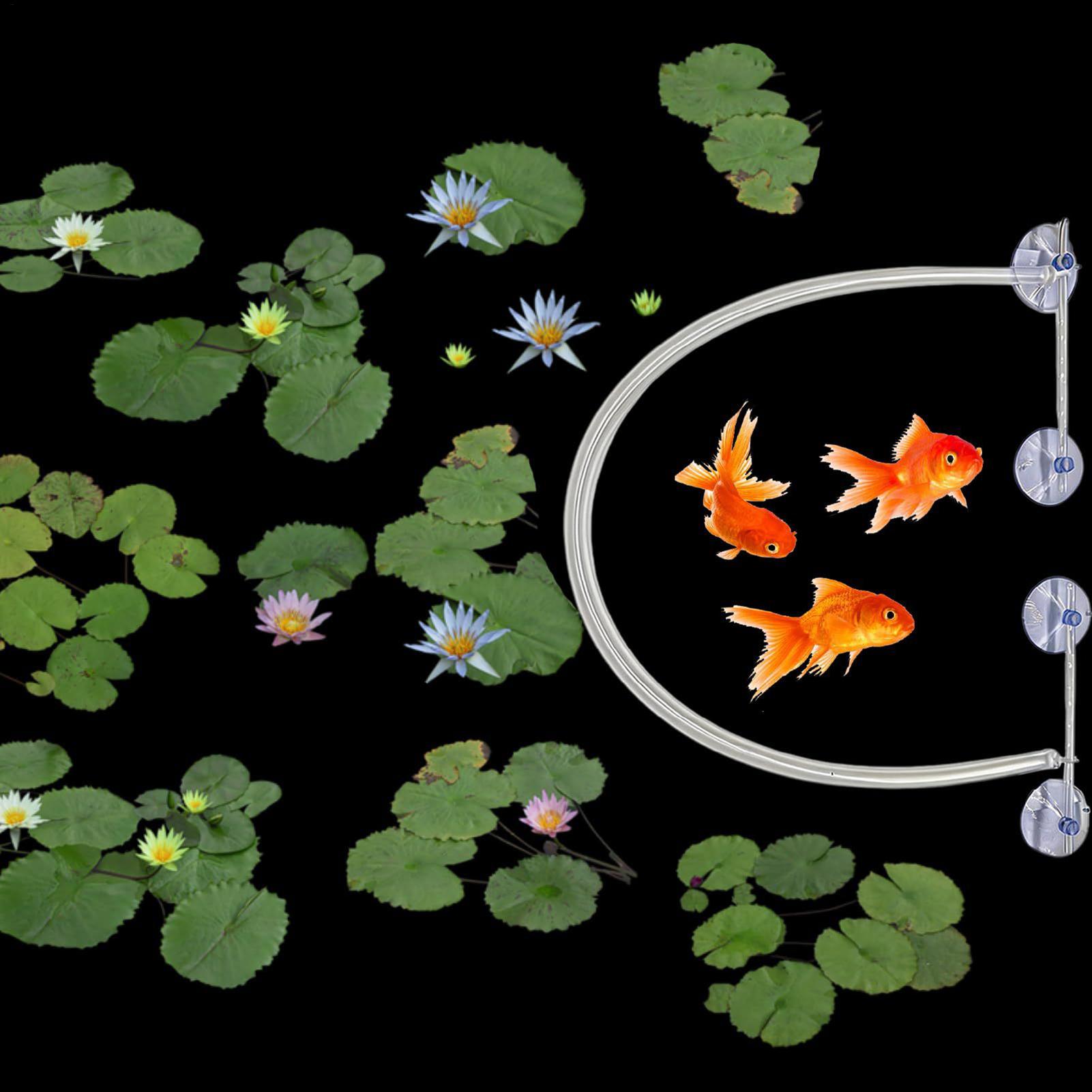 Floating Plant Corral Auto Hei - Planted Aquarium Tank Kit 评论和价格