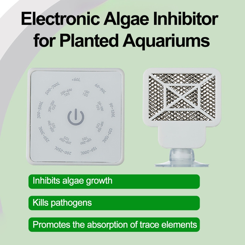 Electronic Aquarium Fish Tank  - Planted Aquarium Tools 评论和价格