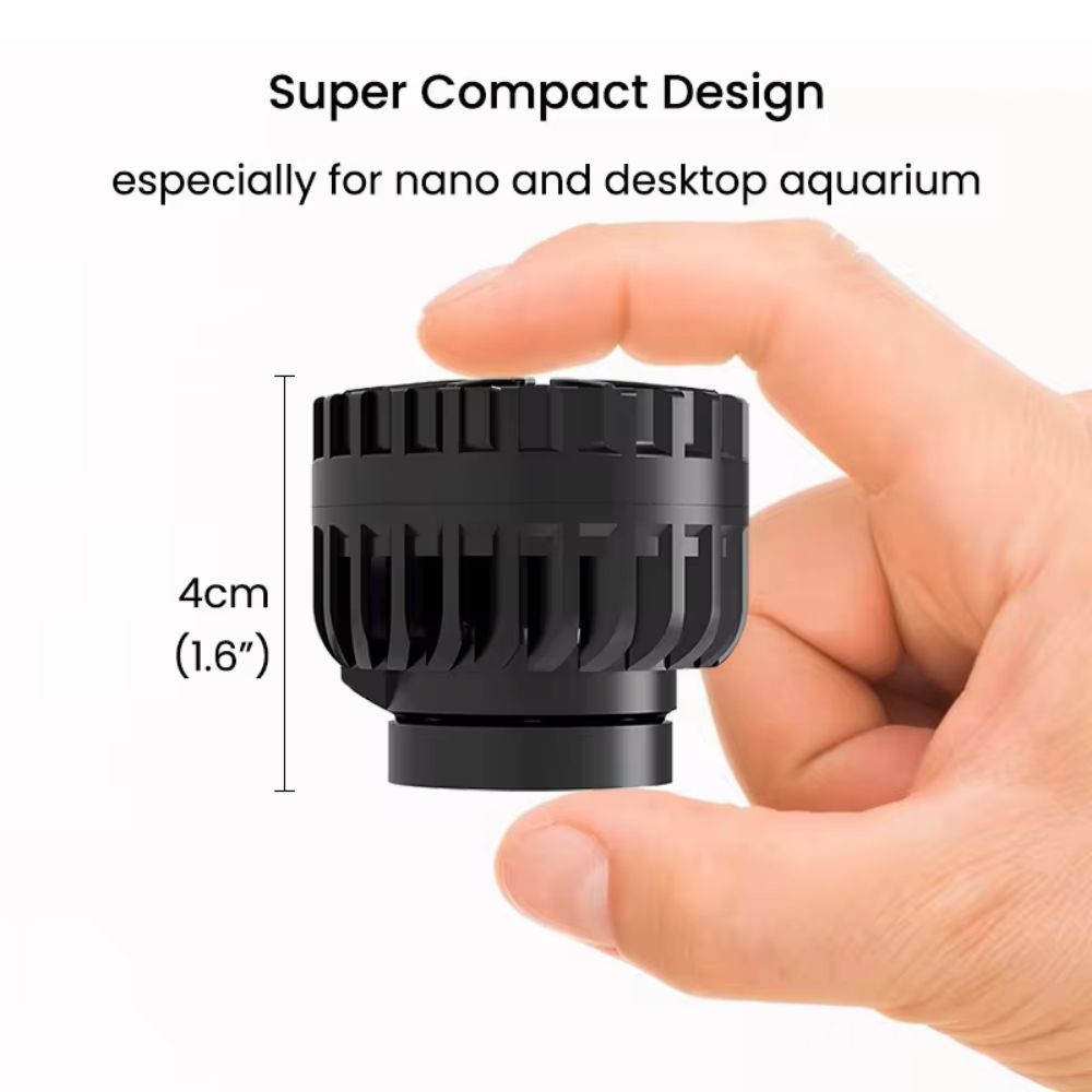 ZKSJ Third generation Mini Sli - Aquarium Plant Iron 评论和价格