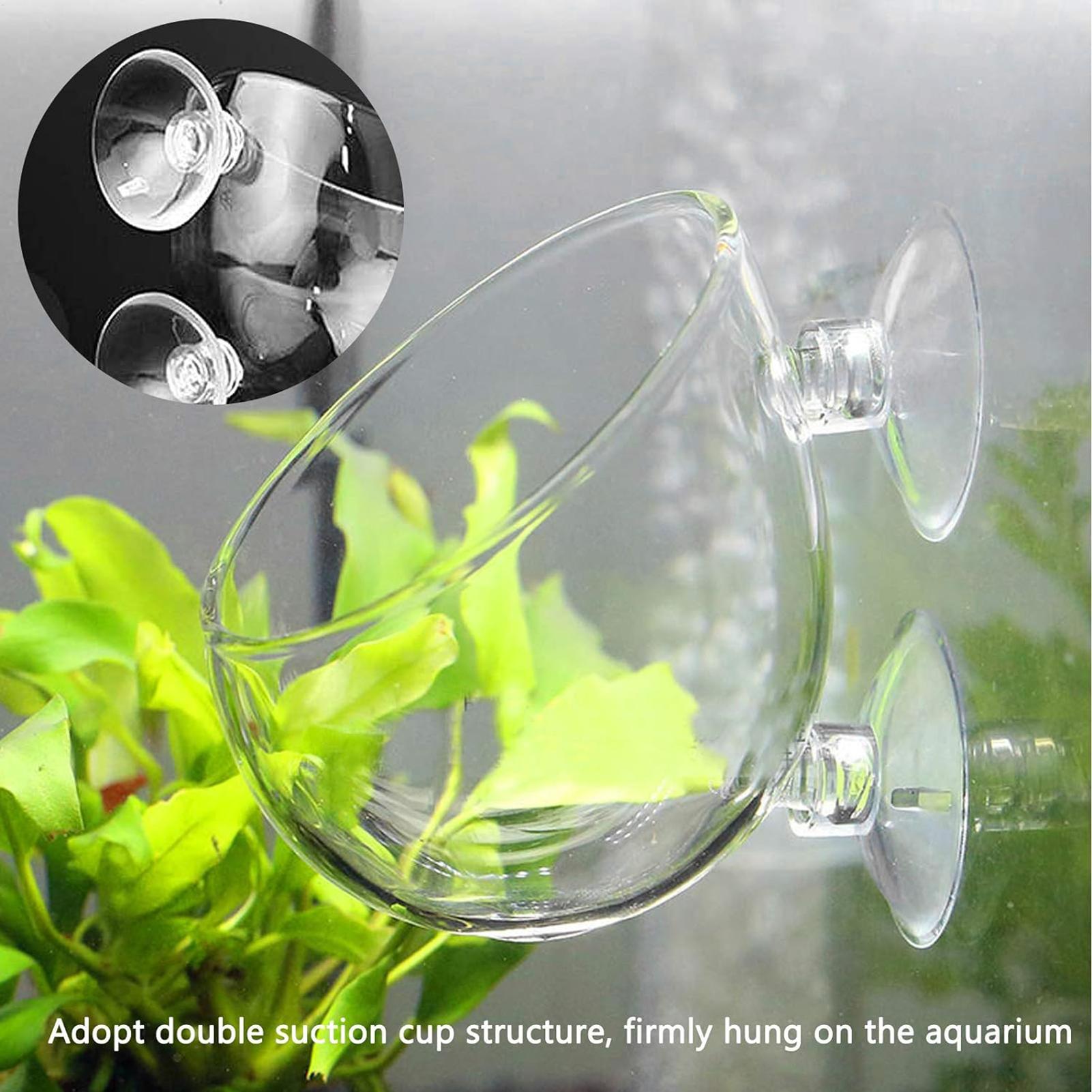 Aquarium Glass Plant Pot with  - Aquarium Plant Gel 评论和价格