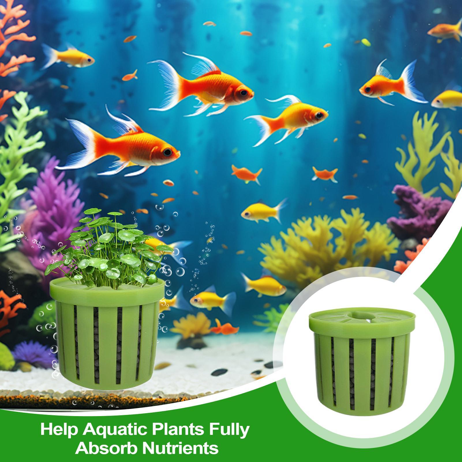 4 Pieces Aquarium Planter Pot  - Aquarium Plant Live 评论和价格