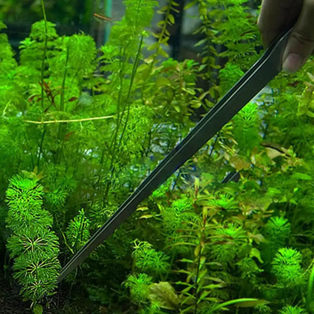 Universal 27CM Aquarium Plant  - Planted Aquarium Maintenance 评论和价格