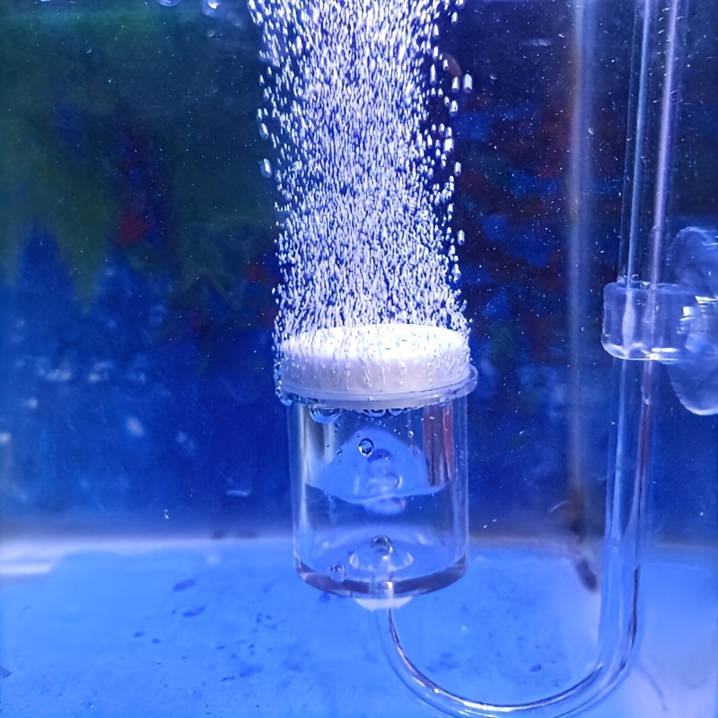 Aquarium Glass CO2 Atomizer Di - Planted Aquarium Equipment 评论和价格