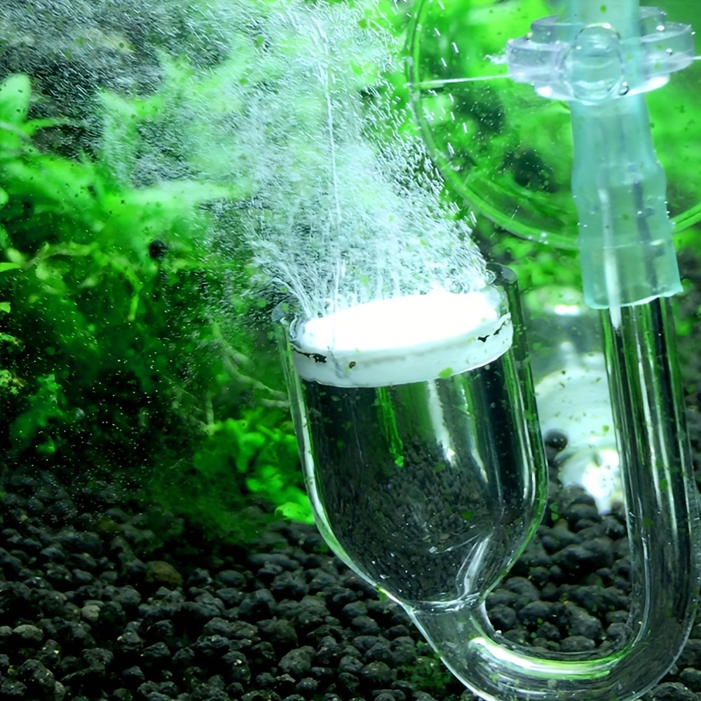 Aquarium Glass CO2 Atomizer Di - Planted Aquarium Equipment 评论和价格