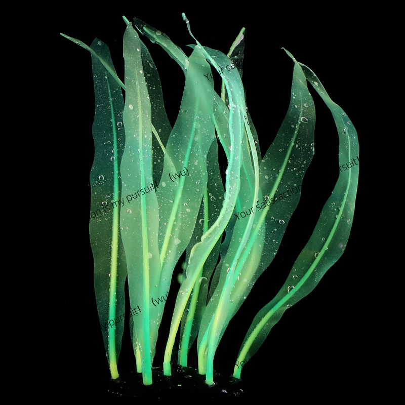 Simulated Kelp Plant Decoratio - Aquarium Plant Gel 评论和价格