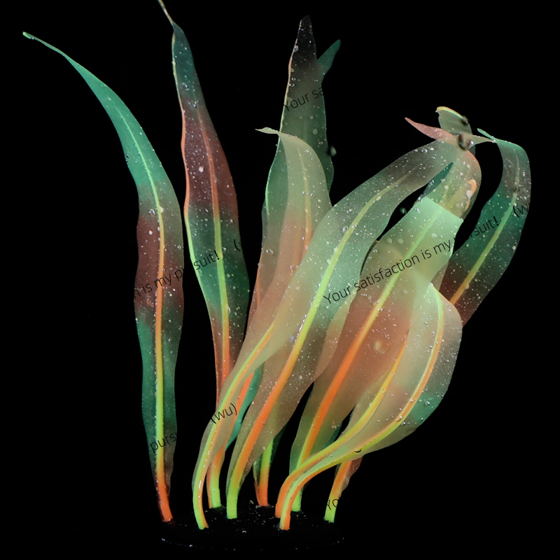 Simulated Kelp Plant Decoratio - Aquarium Plant Gel 评论和价格