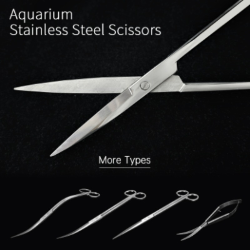 Week Aqua Stainless Steel Aqua - Planted Aquarium Tools 评论和价格
