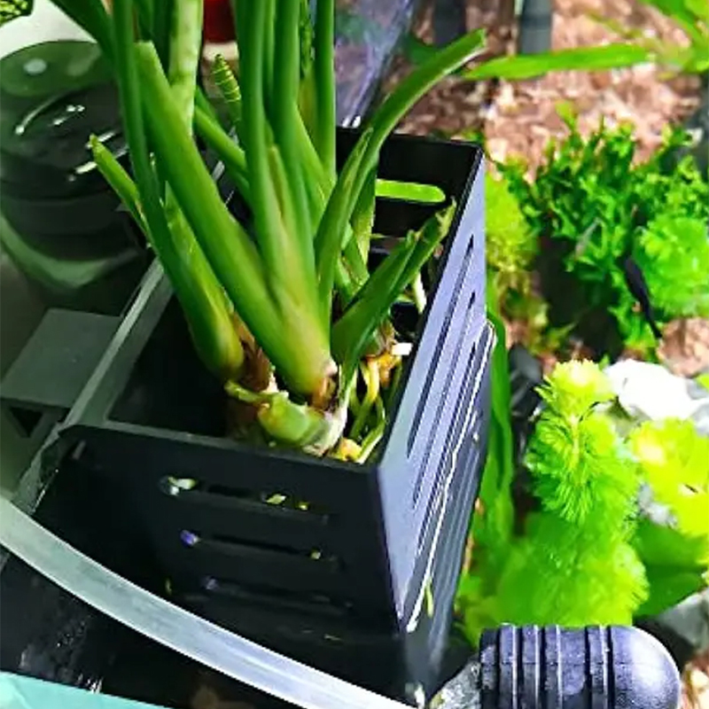 Pet Fish Tank Decorations Aqua - Aquarium Plant Live 评论和价格