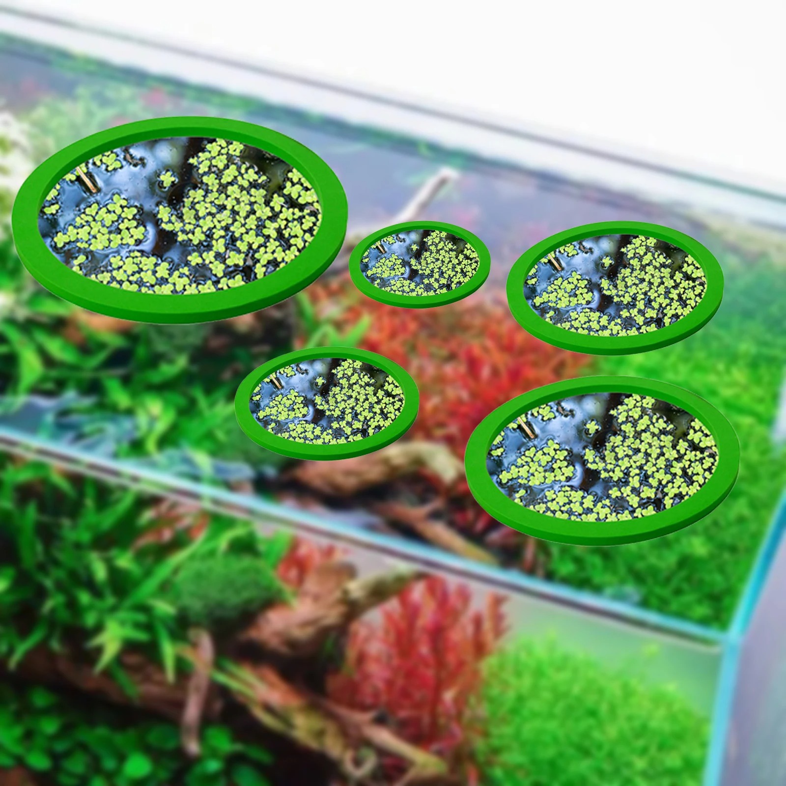 5Pcs EVA Fish Feeding Ring Aqu - Aquarium Planted Tank 评论和价格