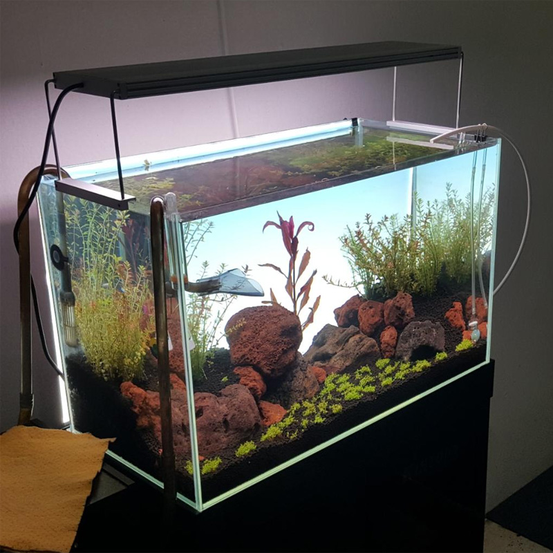 Best-selling white LED aquariu - Planted Aquarium Best Fish 评论和价格