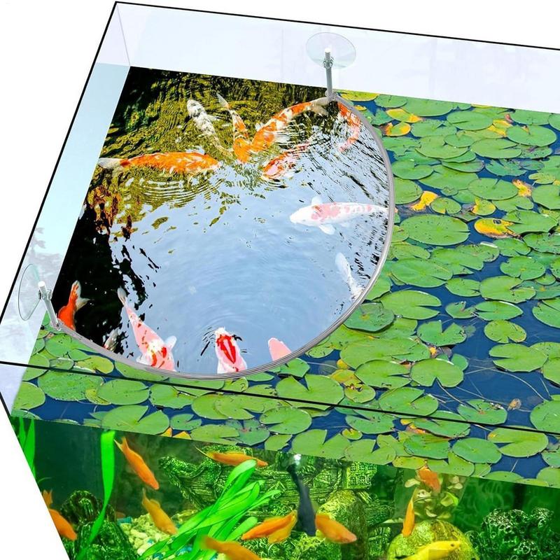 Floating Plant Corral Fish Fee - Planted Aquarium Equipment 评论和价格