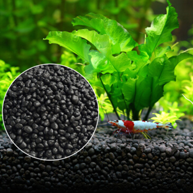 Aquarium Plant Seeds Soil Fish - Planted Aquarium Equipment 评论和价格
