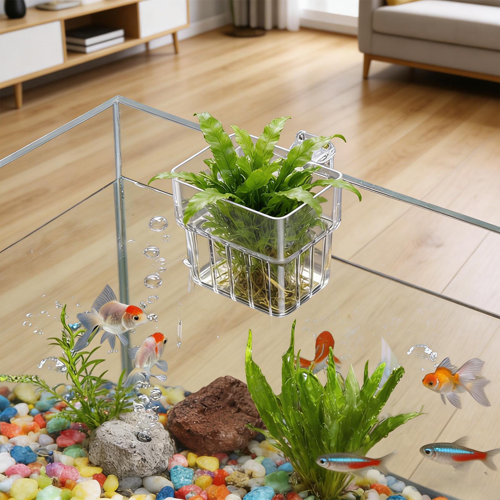 Aquarium Transparent Hanger Po - Aquarium Plant Live 评论和价格