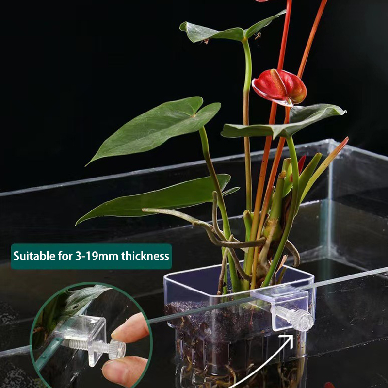 Multifunctional Fish Aquarium  - Aquarium Planted Tank 评论和价格