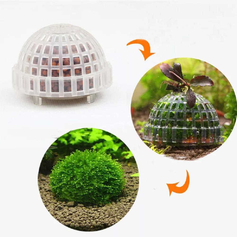1pc Aquatic Pet Supplies Decor - Planted Aquarium Maintenance 评论和价格