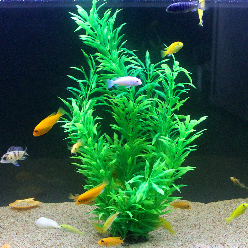 50CM Artificial Fish Tank Rare - Planted Aquarium Equipment 评论和价格
