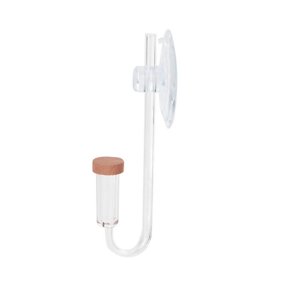Acrylic Mini Fish Tank Live Pl - Planted Aquarium Maintenance 评论和价格