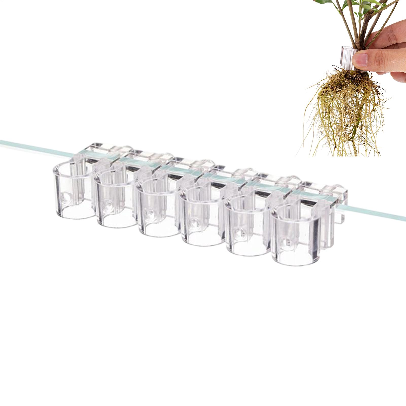 Plant Holder For Aquarium 6 Pi - Aquarium Plant Live 评论和价格