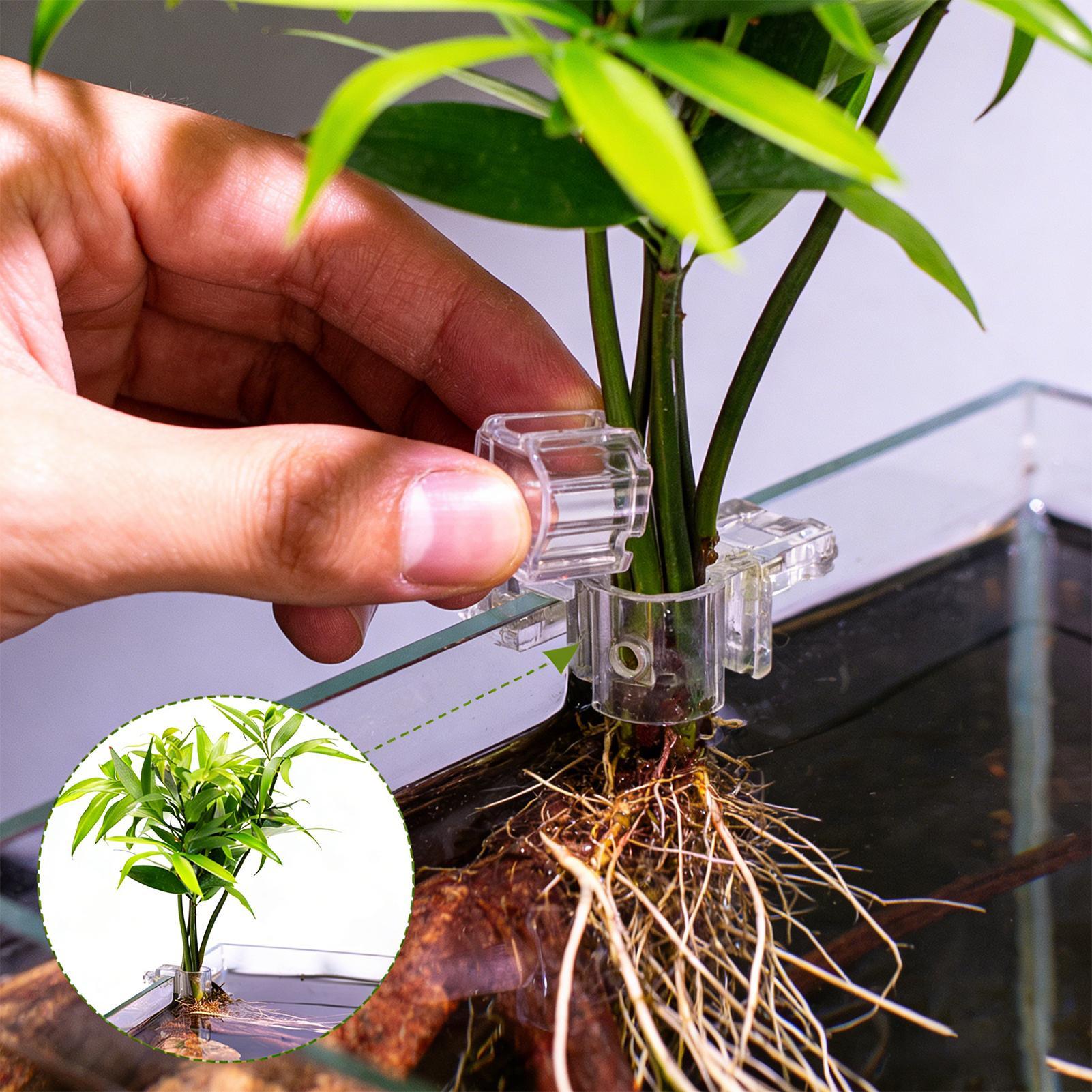 Plant Holder For Aquarium 6 Pi - Aquarium Plant Live 评论和价格