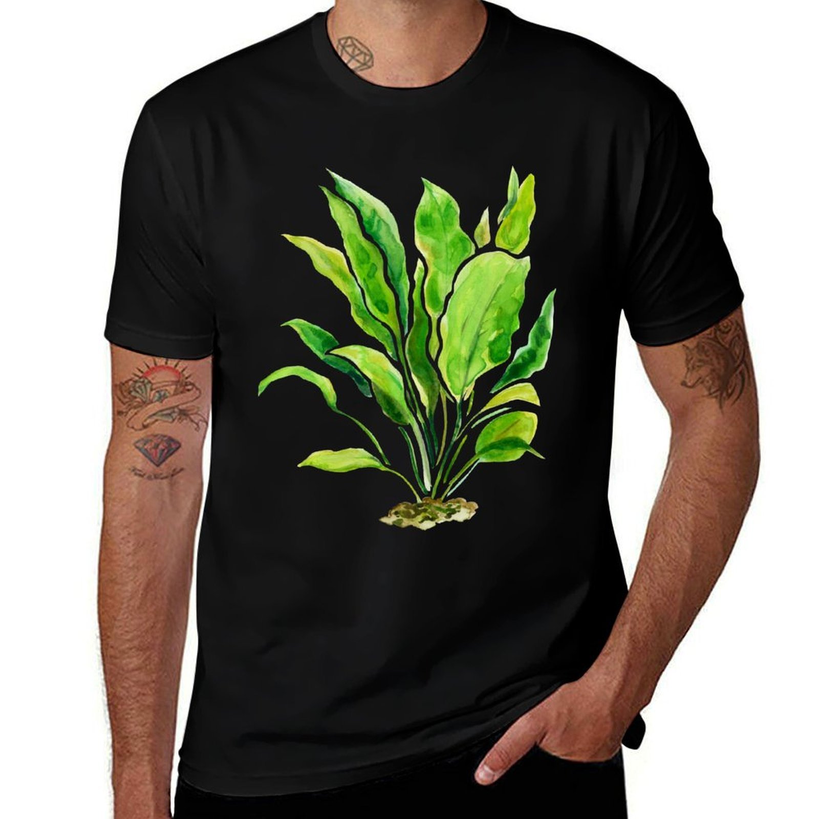 Aquarium Plants Series Amazon  - Planted Aquarium Basics 评论和价格