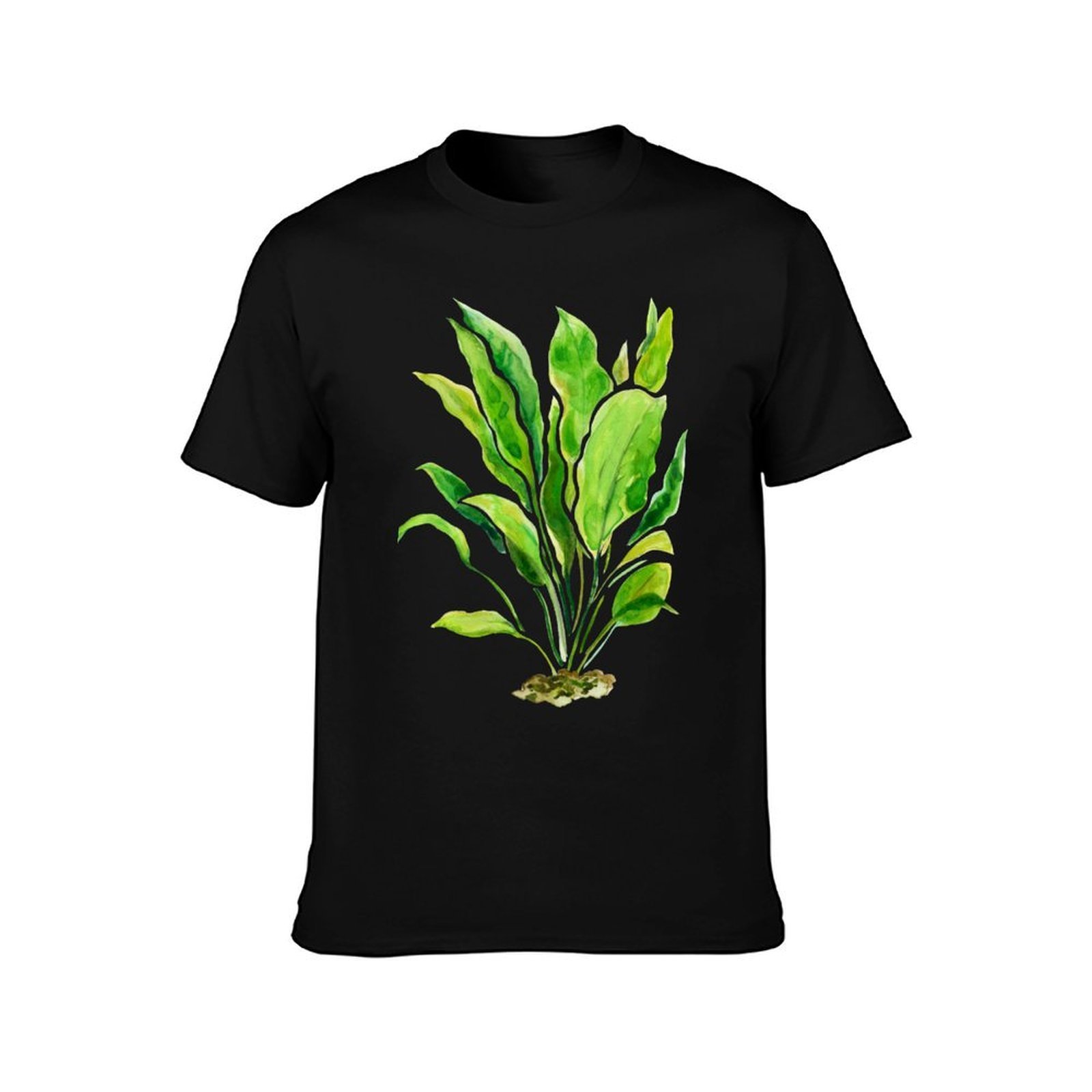 Aquarium Plants Series Amazon  - Planted Aquarium Basics 评论和价格