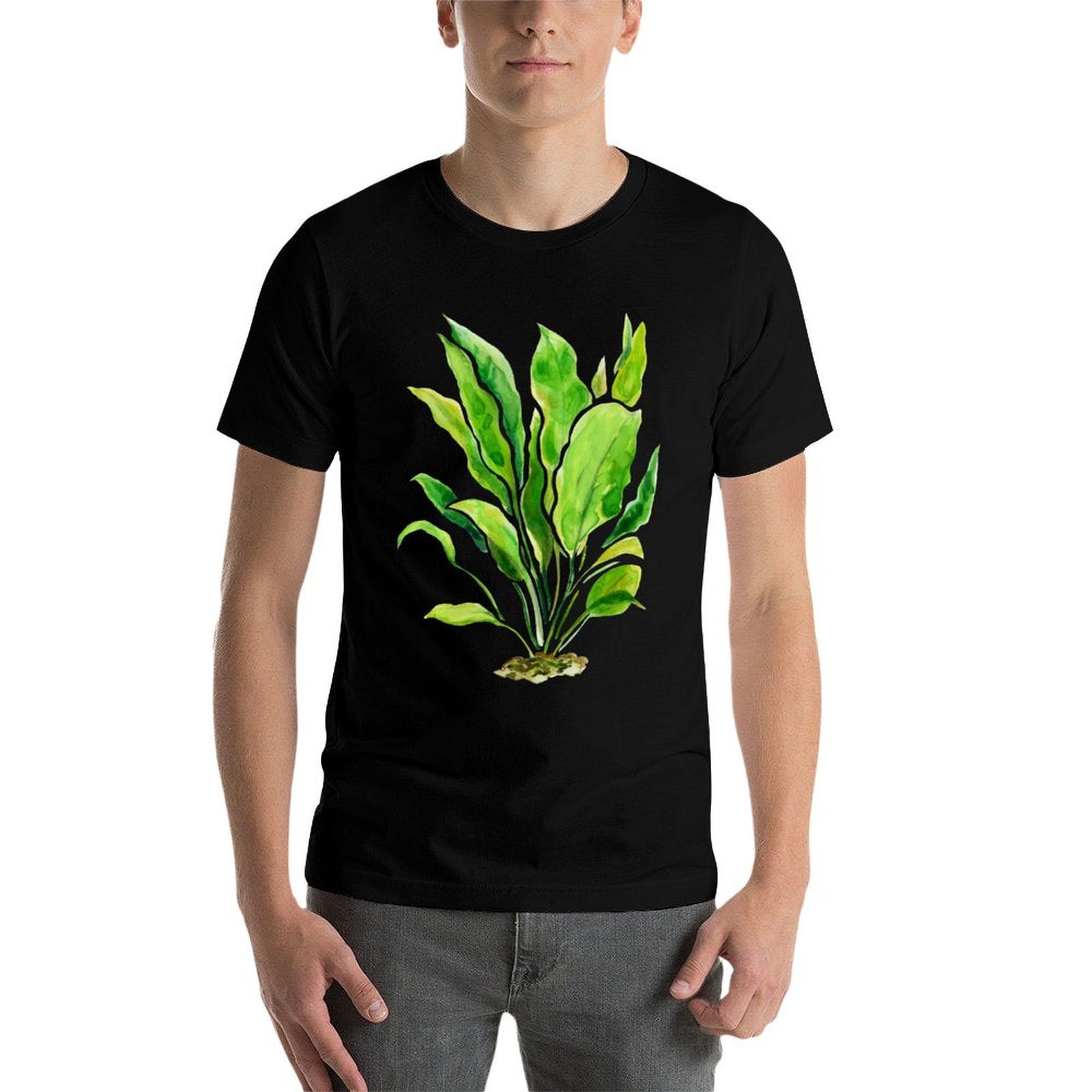 Aquarium Plants Series Amazon  - Planted Aquarium Basics 评论和价格