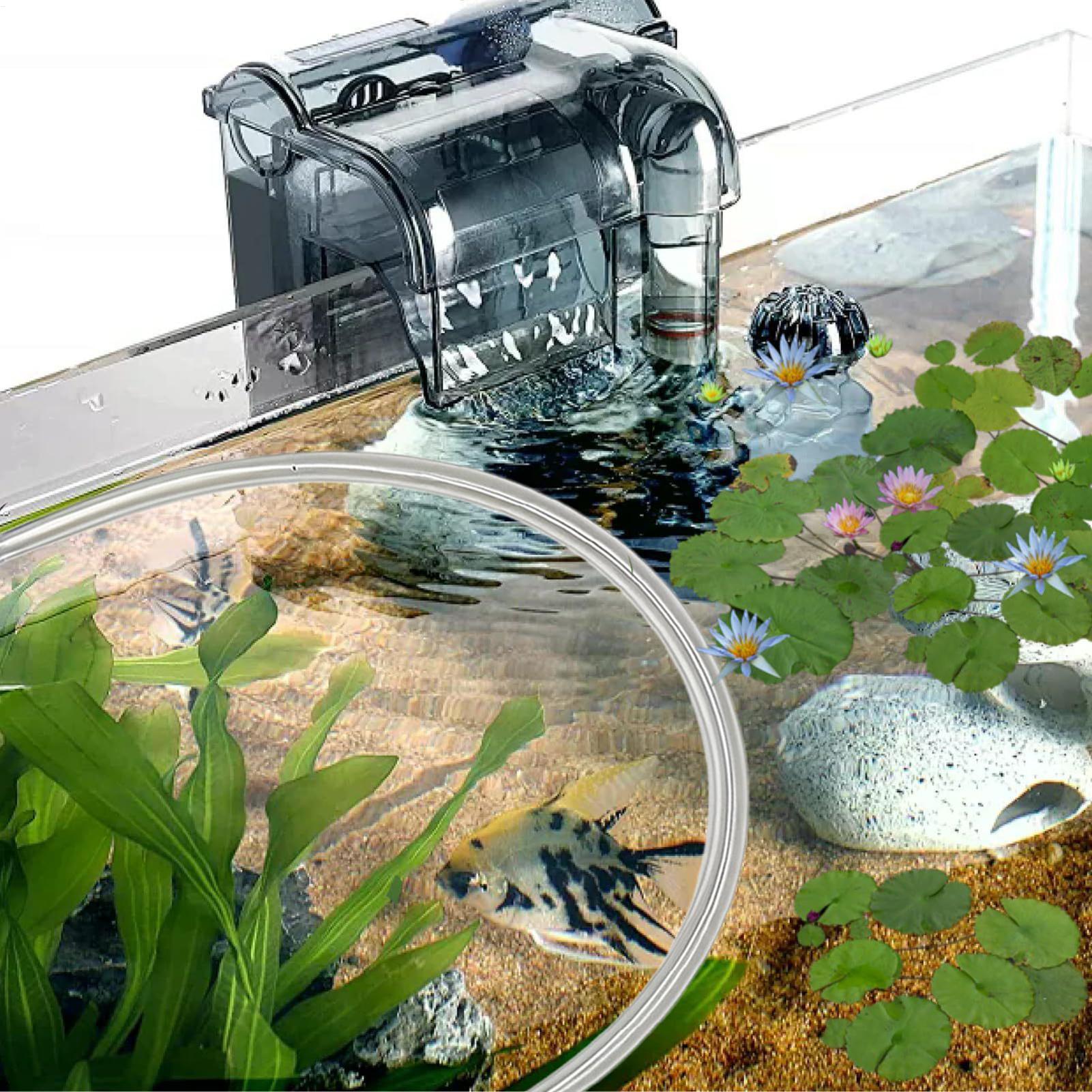 Aquarium Floating Plant Barrie - Planted Aquarium Tank Kit 评论和价格